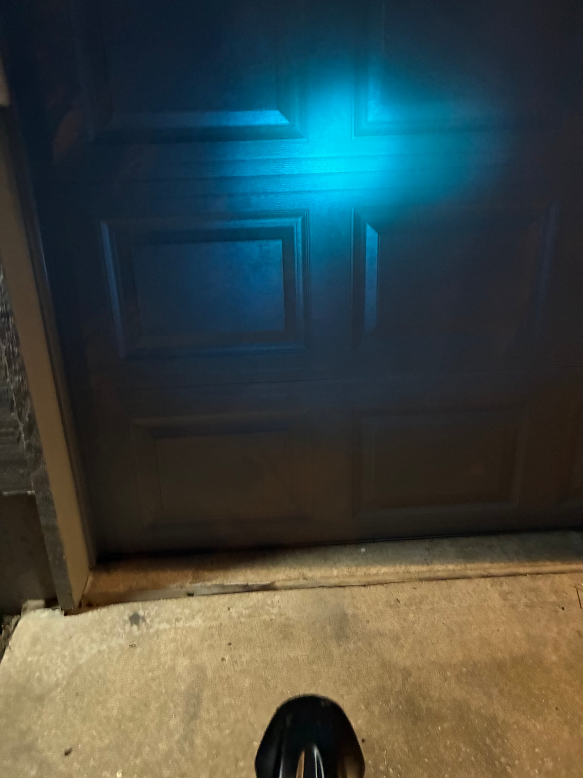 (BLUE) Baja tint